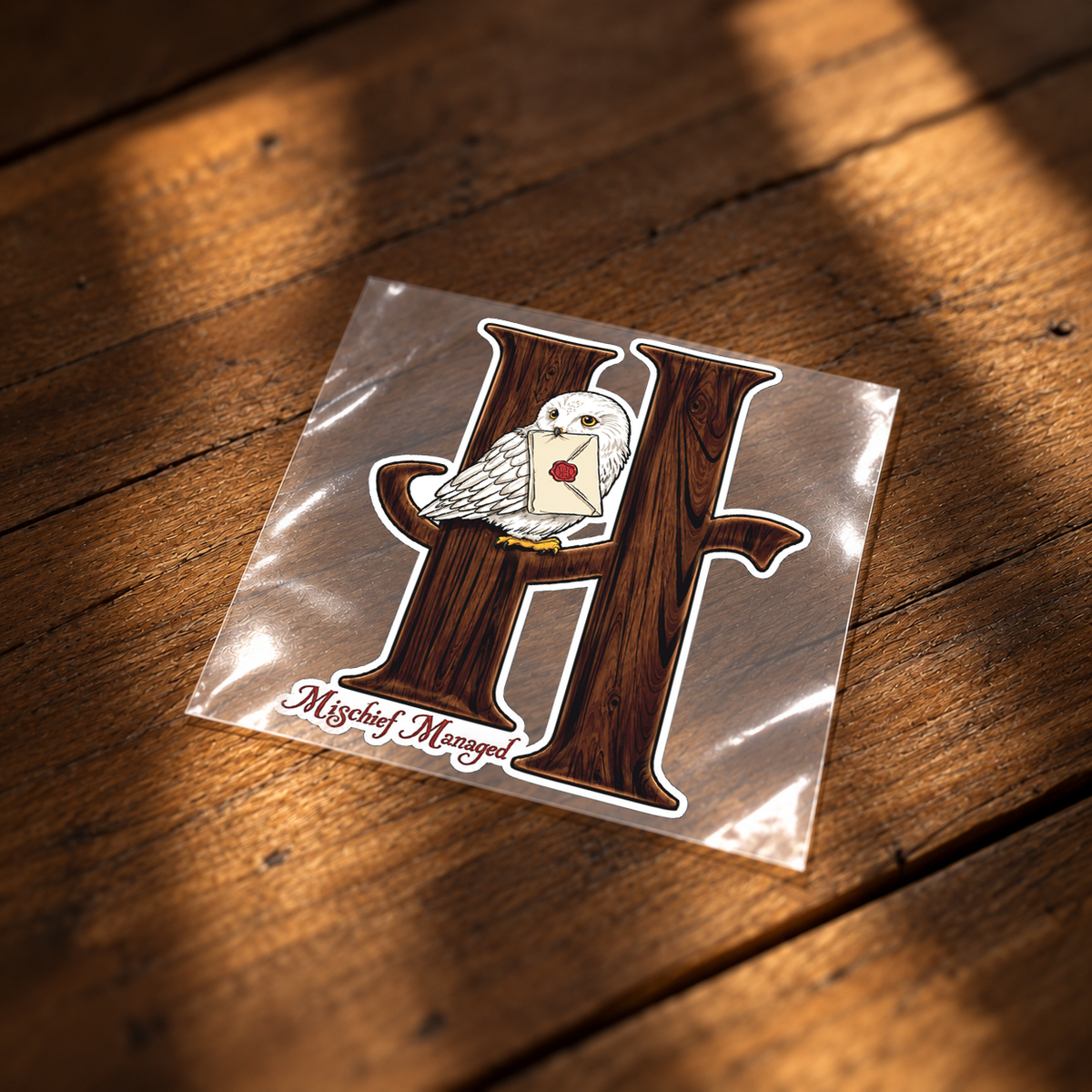 Harry Potter and Hedwig Iron on Patches | Cinema