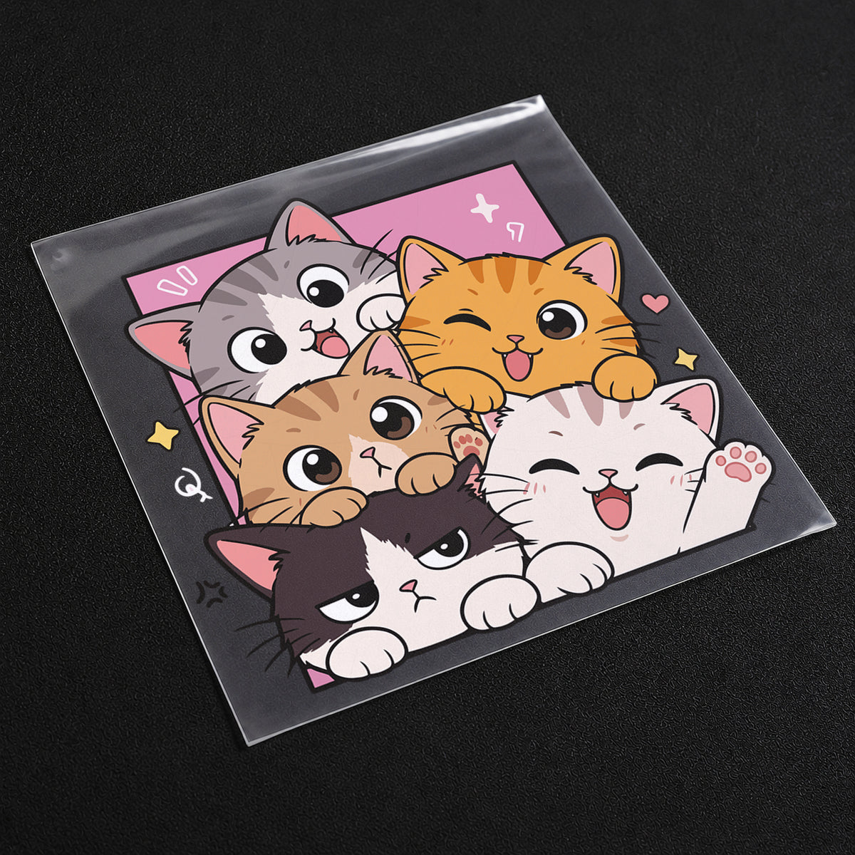 Cat Chaos Club Iron On Patch