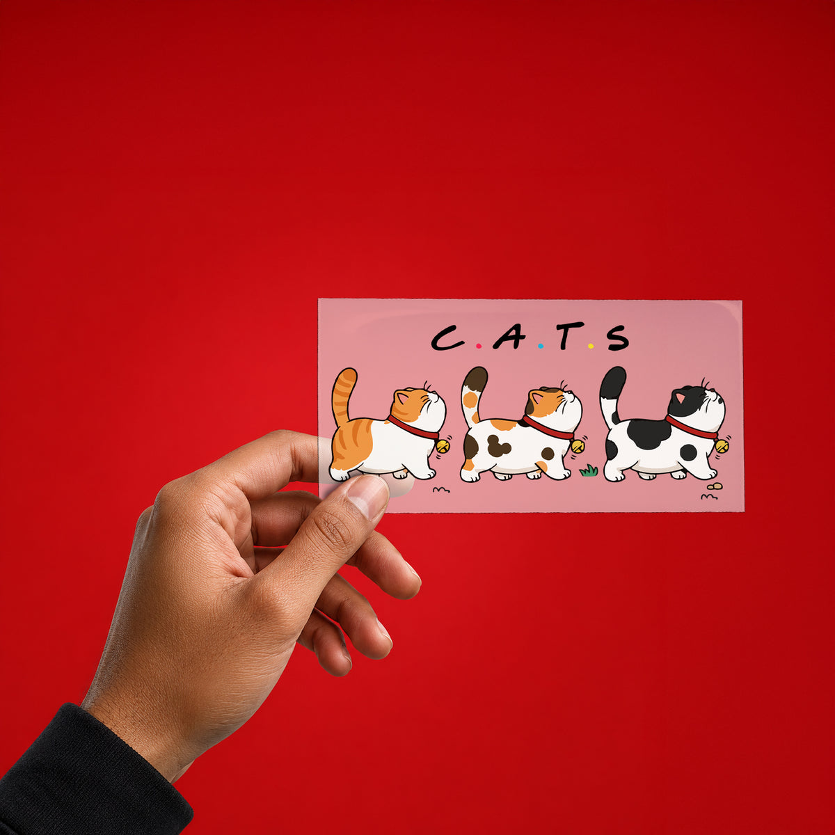 Cat x FRIENDS Iron On Patch